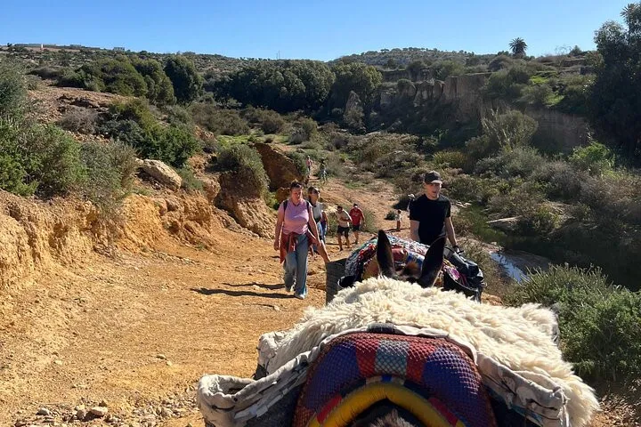 Donkey ride on a trail