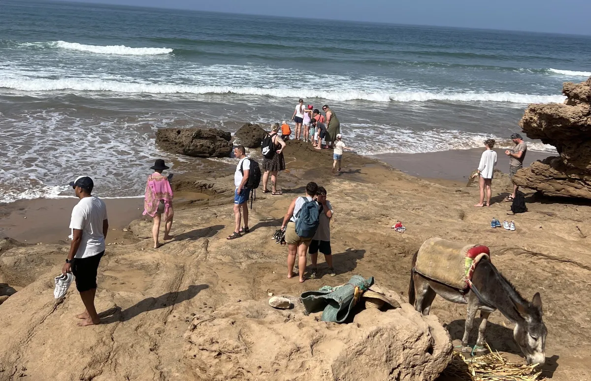 Walk along the rocky coast of Sidi M'Barek with a donkey