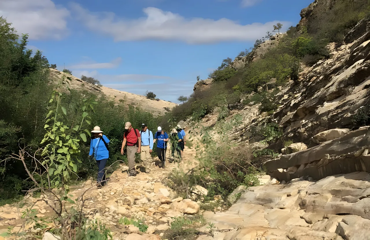 Hike on a trail of the thuya outing